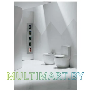 Унитаз Roca N-Meridian Comp A342248000 картинка 3